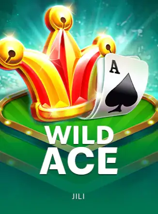 ภาพปกเกม Wild Ace